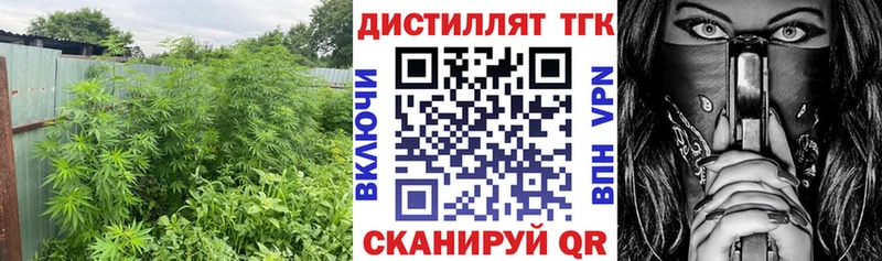 Купить где  Дербент  ТГК вейп с тгк 