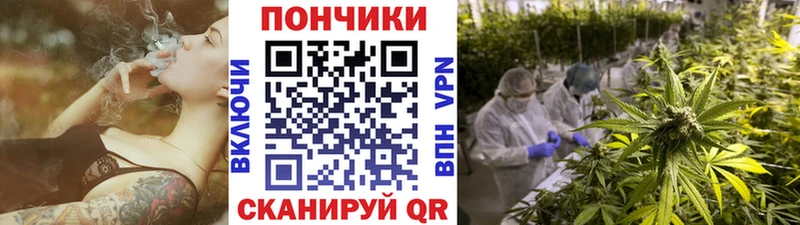 Купить закладки  Дербент  Бошки марихуана VHQ 